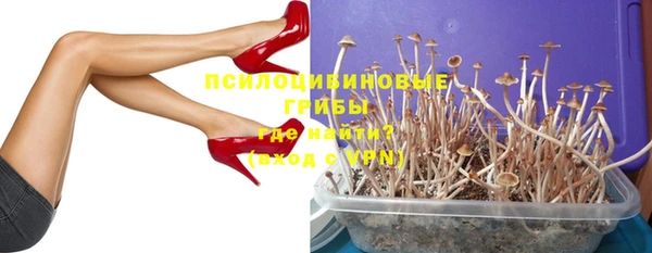 каннабис Лабытнанги