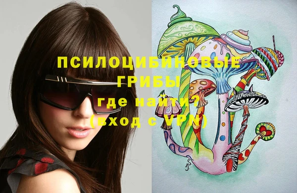 дмт Лагань