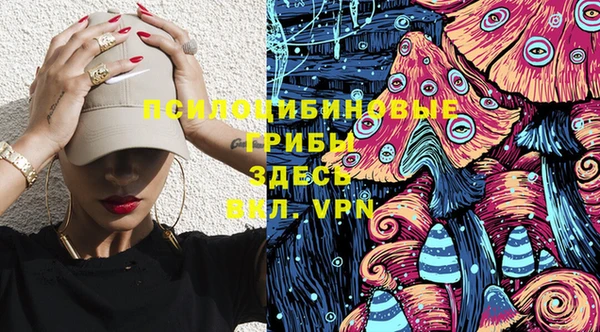 дмт Лагань